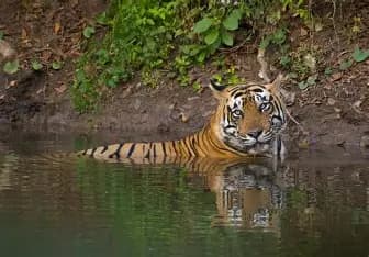 Hathidagar Safari Zone