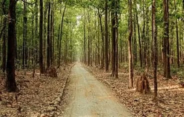 Sitabani Safari Zone